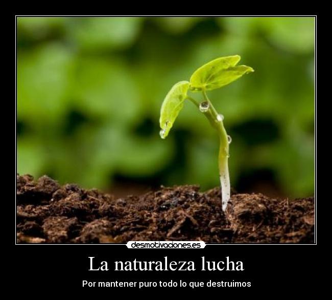 La naturaleza lucha - Por mantener puro todo lo que destruimos