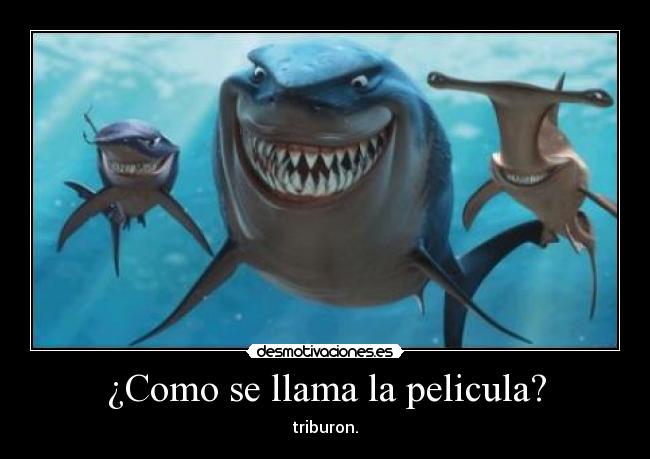 carteles tiburon nemo pelicula tres mar desmotivaciones