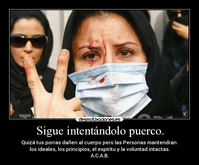 Sigue intentándolo puerco. -