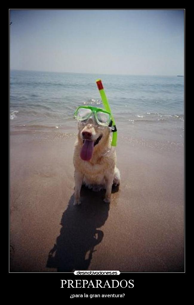 PREPARADOS - ¿para la gran aventura?