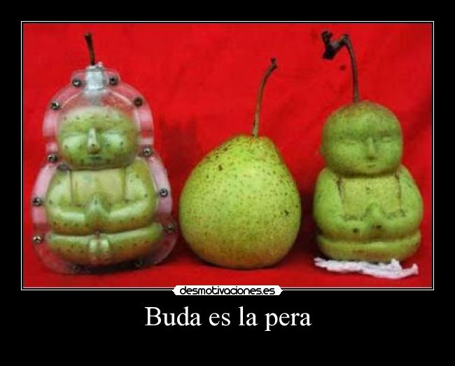 Buda es la pera -