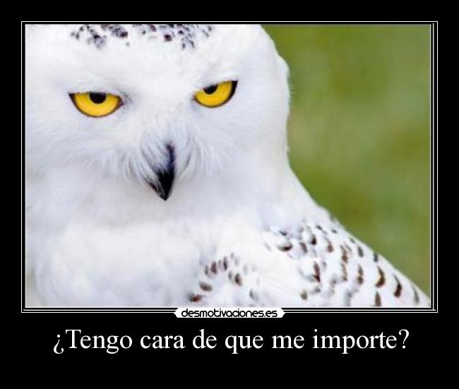 carteles davidag31 desmotivaciones