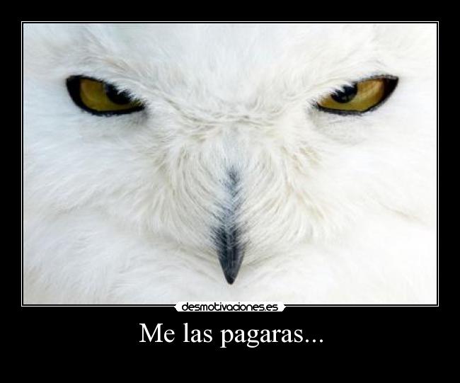 Me las pagaras... - 