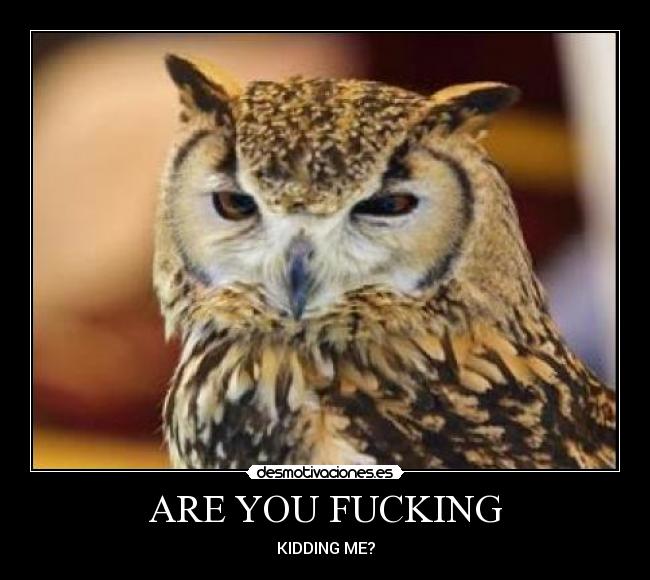 ARE YOU FUCKING - 