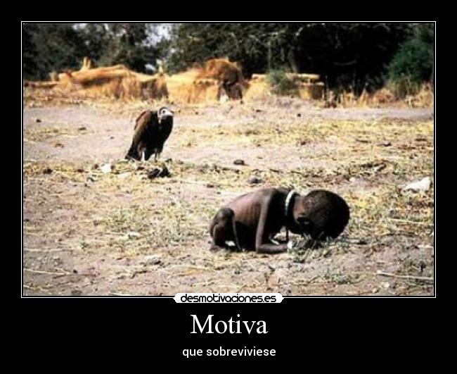 Motiva - 