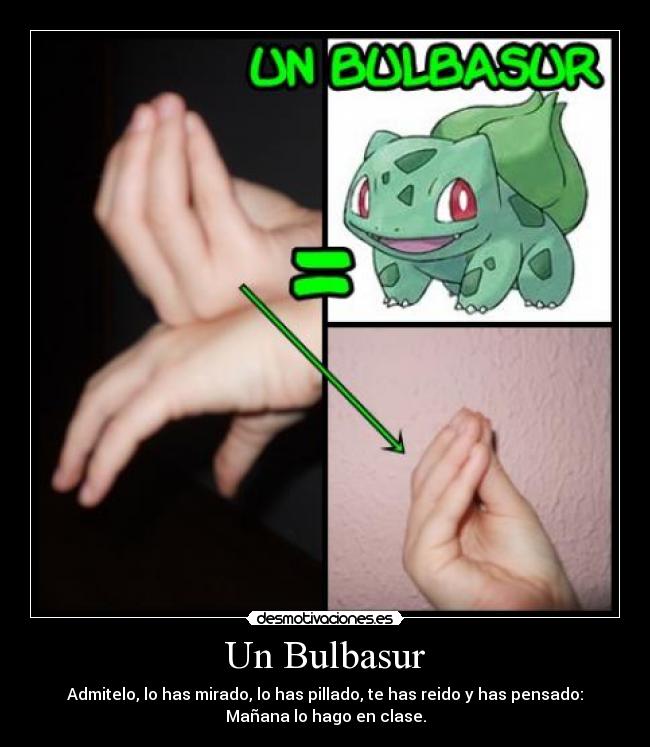 Un Bulbasur - 