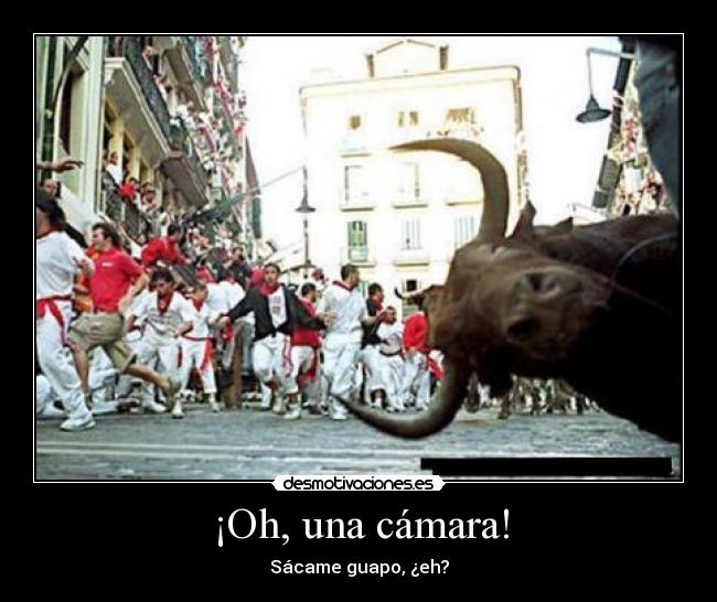 ¡Oh, una cámara! -