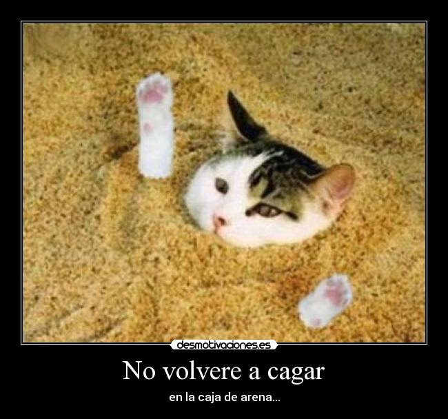 No volvere a cagar -