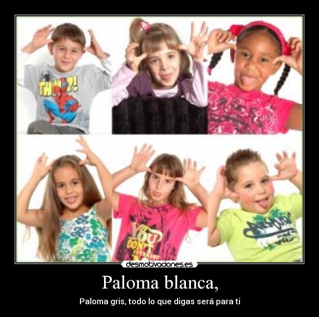 Paloma blanca, - Paloma gris, todo lo que digas será para ti