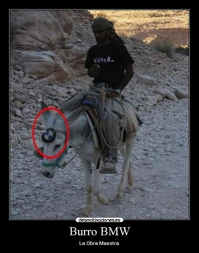 Burro BMW - 