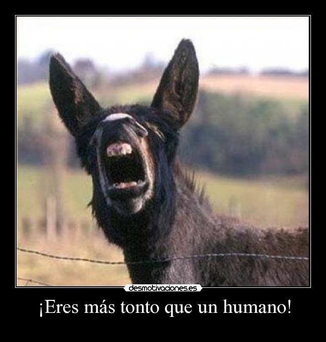 ¡Eres más tonto que un humano! -