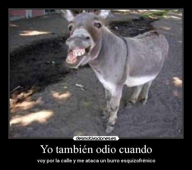 Yo también odio cuando - 