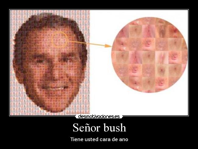 Señor bush -