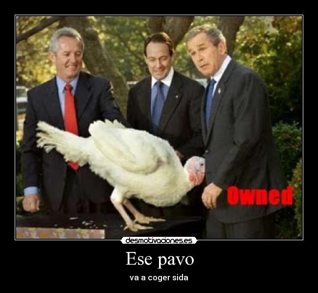 Ese pavo - va a coger sida