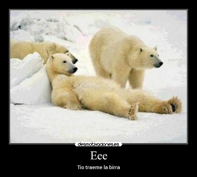 carteles birra desmotivaciones