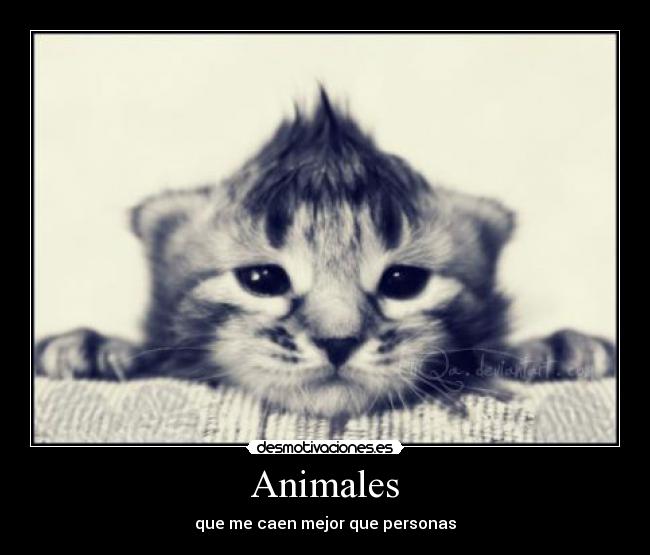 Animales -