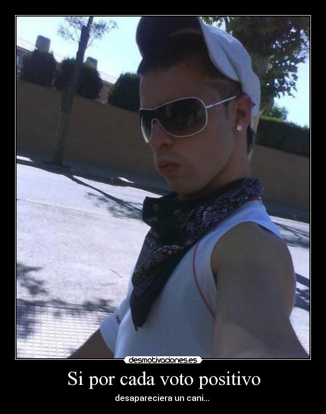 Si por cada voto positivo - desapareciera un cani...