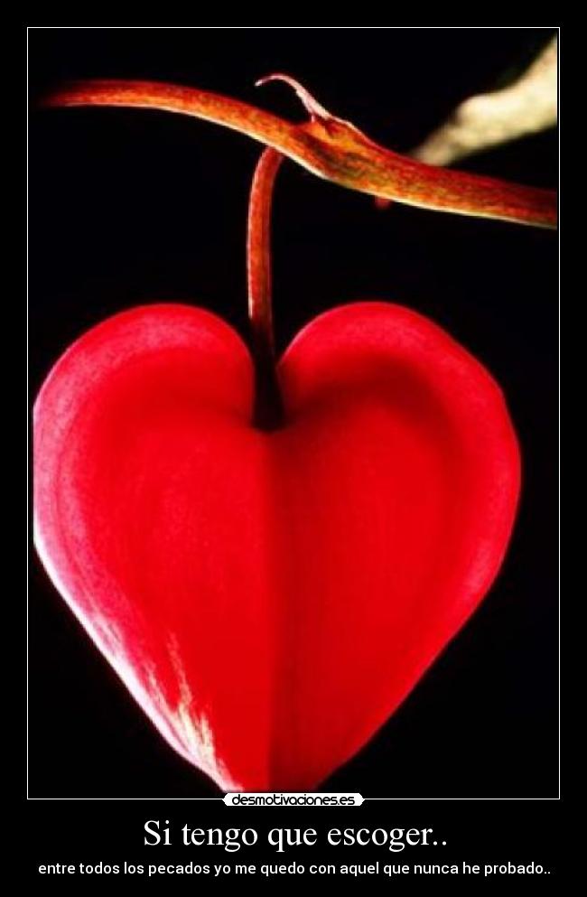 Si tengo que escoger.. - entre todos los pecados yo me quedo con aquel que nunca he probado..