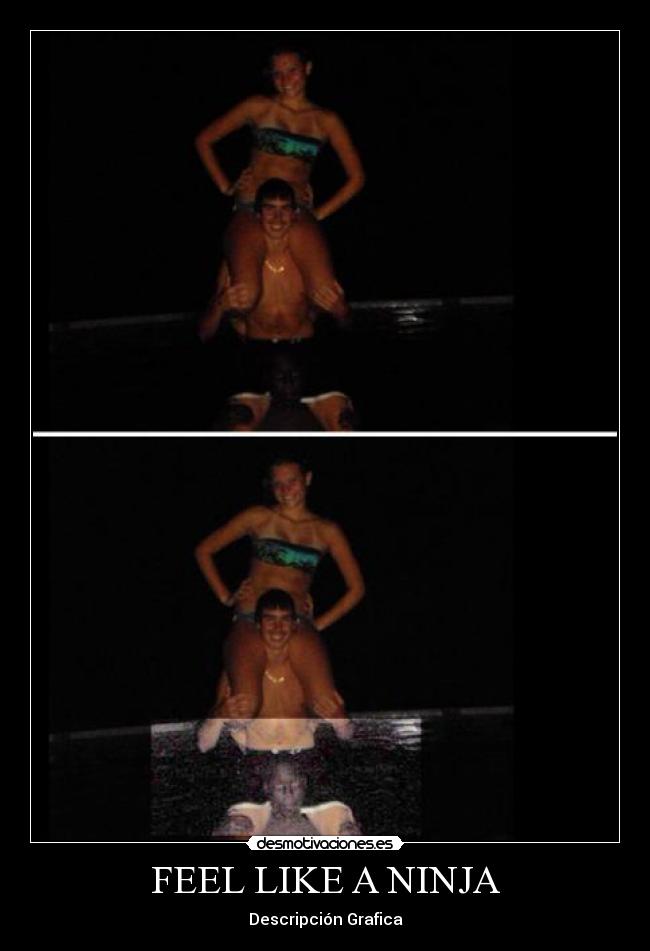 FEEL LIKE A NINJA - Descripción Grafica