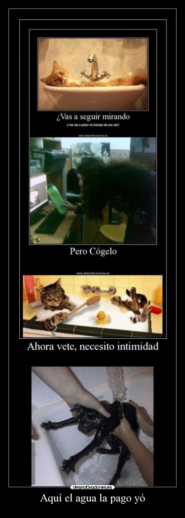 Aquí el agua la pago yó -