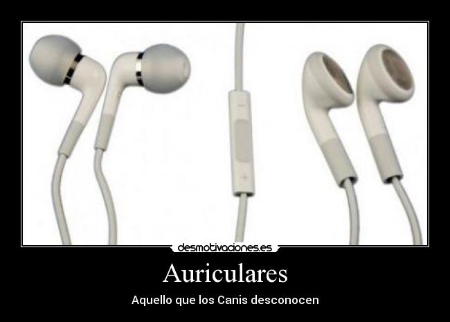 Auriculares - 