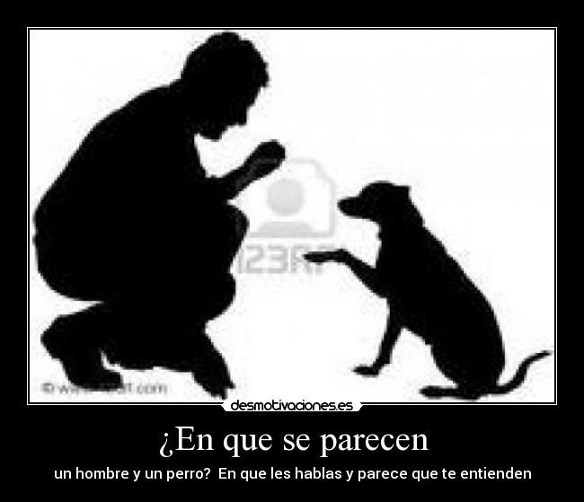 ¿En que se parecen -