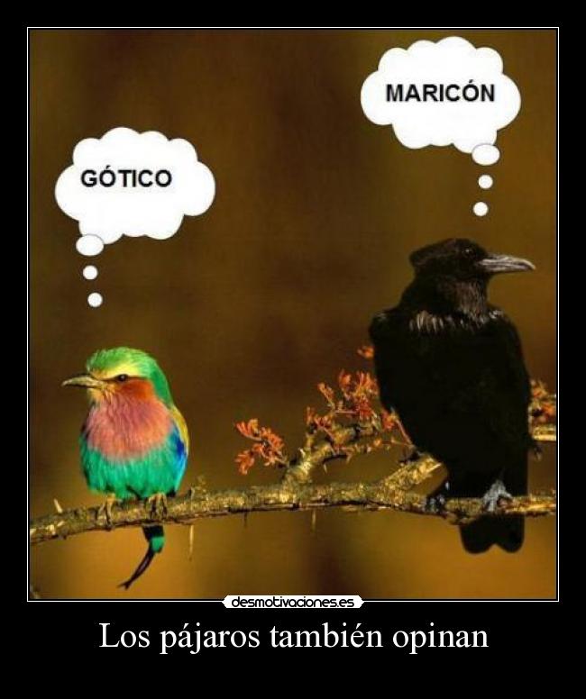 carteles birds desmotivaciones