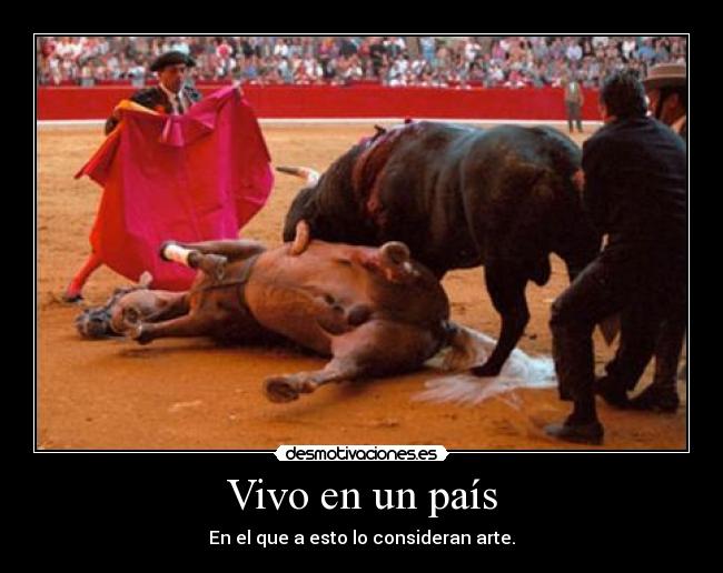 Vivo en un país - En el que a esto lo consideran arte.