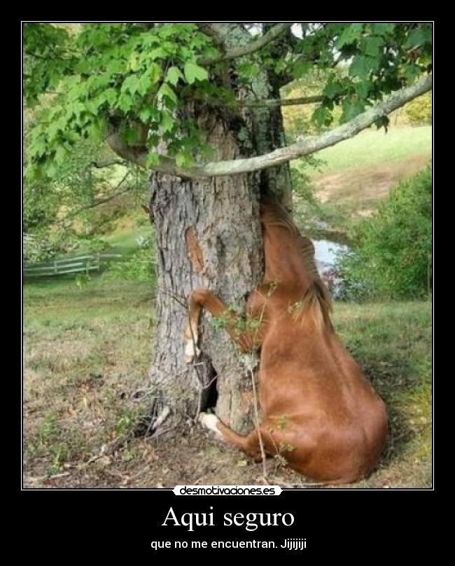 Aqui seguro - 