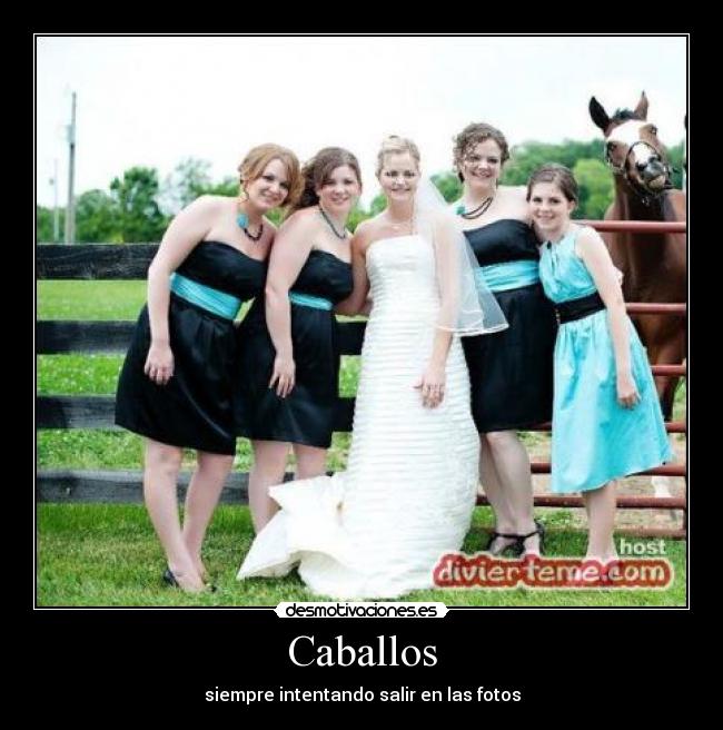 Caballos -