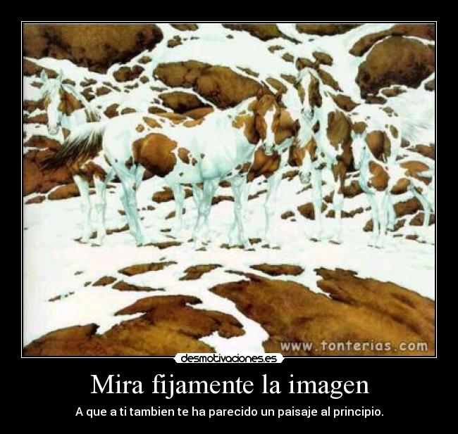 Mira fijamente la imagen - A que a ti tambien te ha parecido un paisaje al principio.