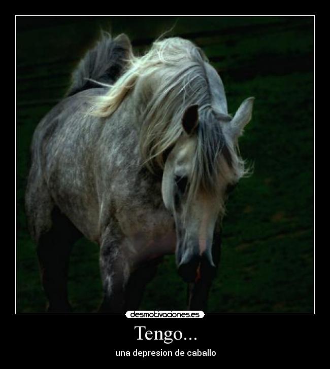Tengo... - una depresion de caballo