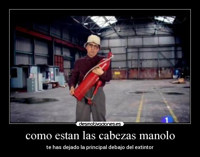 como estan las cabezas manolo -