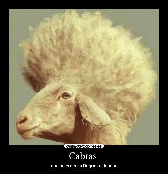 Cabras  - que se creen la Duquesa de Alba