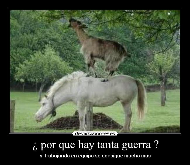 ¿ por que hay tanta guerra ? - 