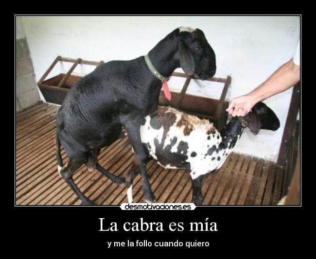 La cabra es mía - y me la follo cuando quiero