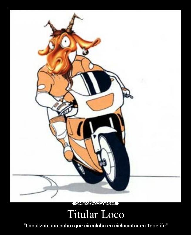 carteles titular loco cabra desmotivaciones