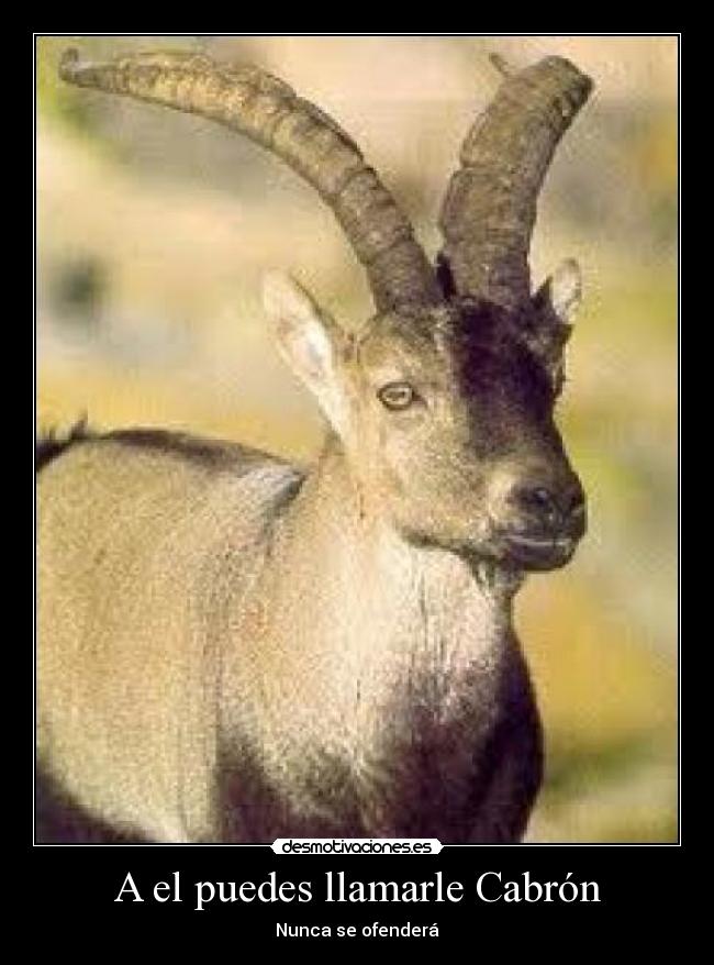A el puedes llamarle Cabrón - Nunca se ofenderá
