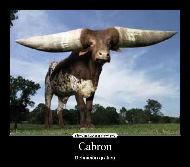 Cabron -