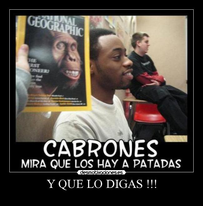 Y QUE LO DIGAS !!! - 