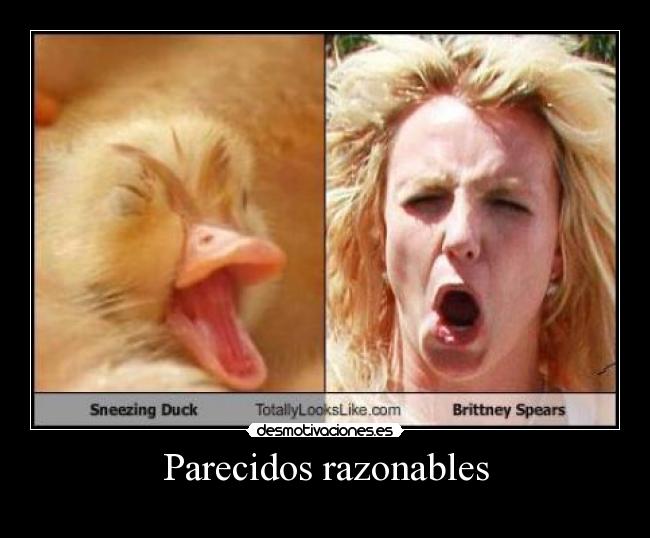 Parecidos razonables -