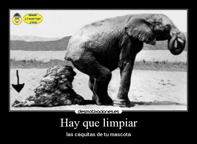 Hay que limpiar -