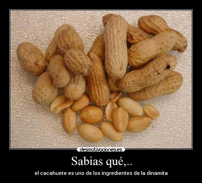 Sabias qué,.. - el cacahuete es uno de los ingredientes de la dinamita