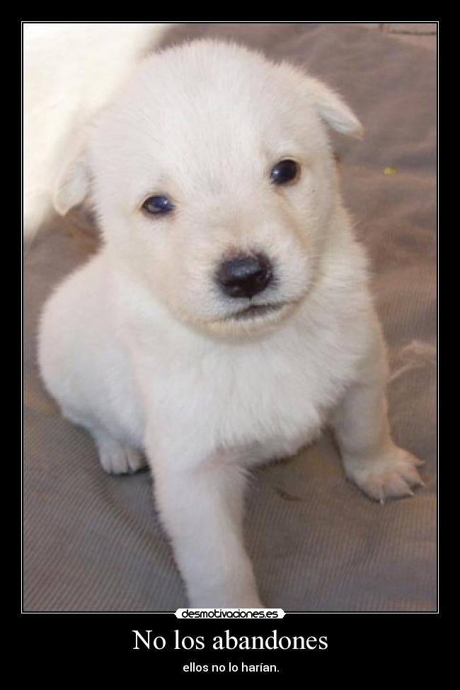 No los abandones -