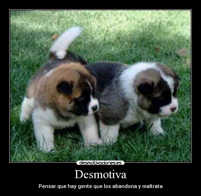 Desmotiva - 