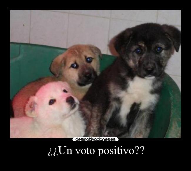 carteles voto positivo desmotivaciones