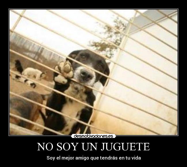 NO SOY UN JUGUETE - 