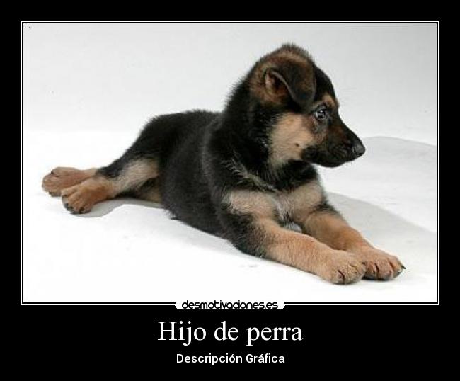 Hijo de perra - 
