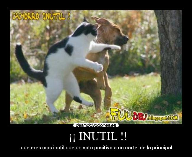 carteles inutil desmotivaciones