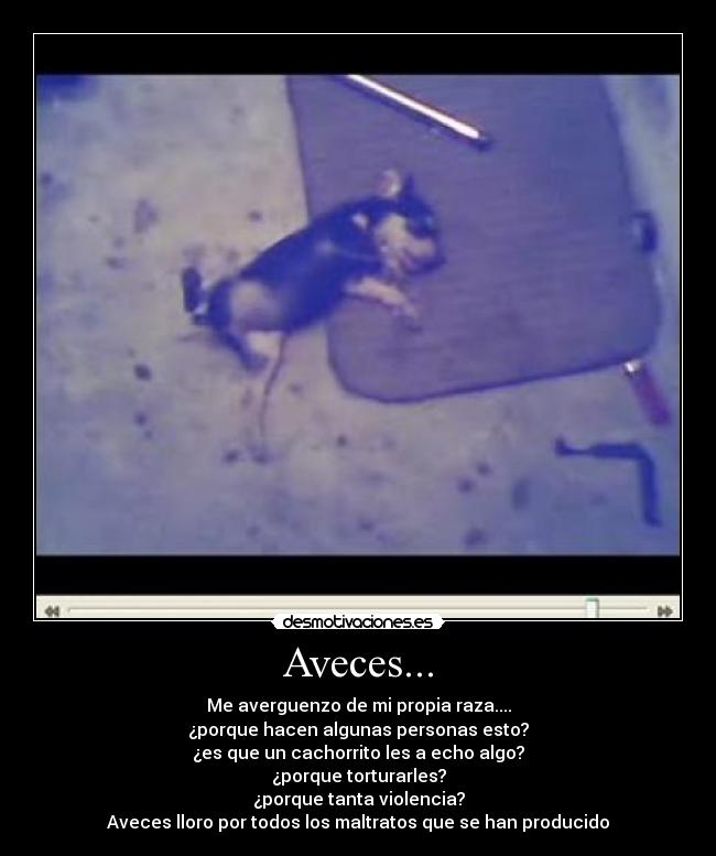 Aveces... - Me averguenzo de mi propia raza....
¿porque hacen algunas personas esto?
¿es que un cachorrito les a echo algo?
¿porque torturarles?
¿porque tanta violencia?
Aveces lloro por todos los maltratos que se han producido